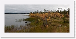 autum colors * 900 x 401 * (416KB)